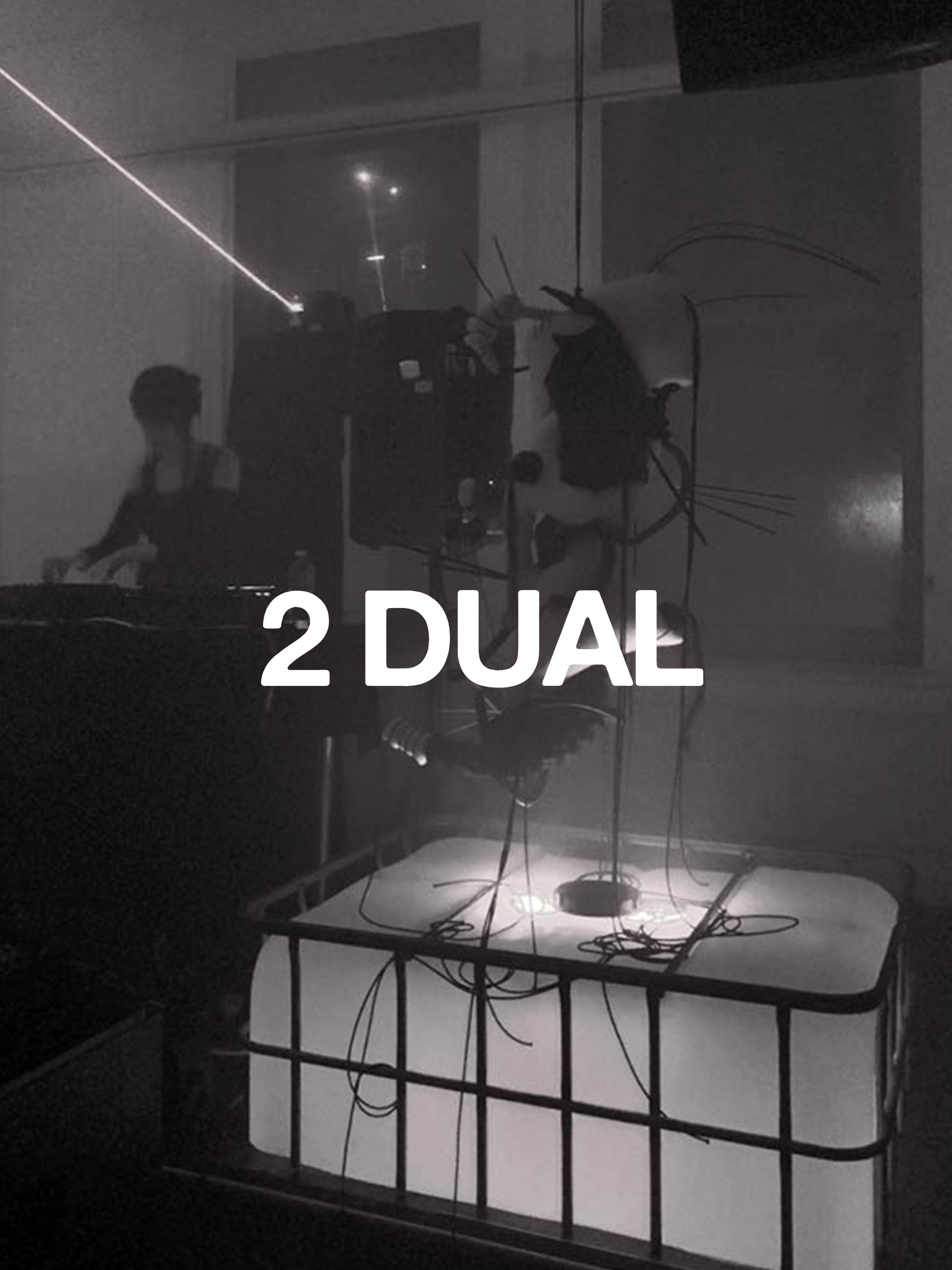 2 Dual